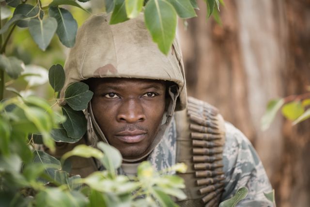Military soldier hiding behind trees - Download Free Stock Photos Pikwizard.com