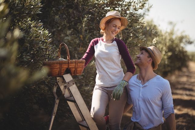 Cheerful couple with wicker basket and ladder at olive farm - Download Free Stock Photos Pikwizard.com