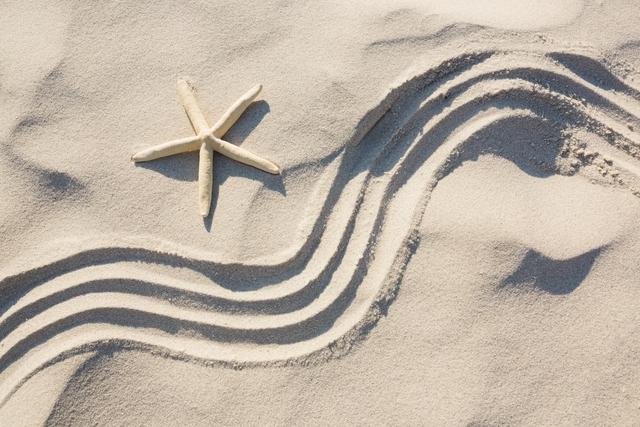 Starfish and zen pattern on sand - Download Free Stock Photos Pikwizard.com
