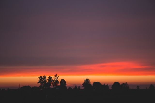 Silhouettes of Trees During Dawn - Download Free Stock Photos Pikwizard.com