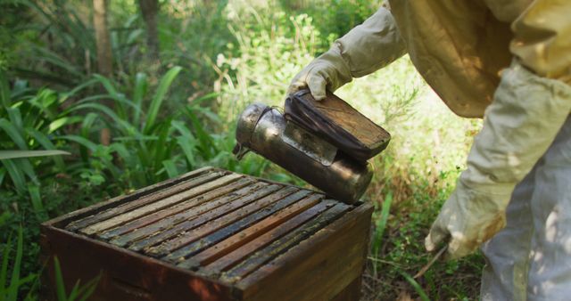 Midsection of caucasian male beekeeper in protective clothing using smoker to calm bees in a beehive. apiary and honey making, small agricultural business and hobby.