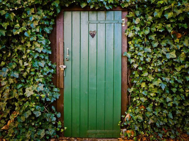 a green door surrounded by ivy - Download Free Stock Photos Pikwizard.com