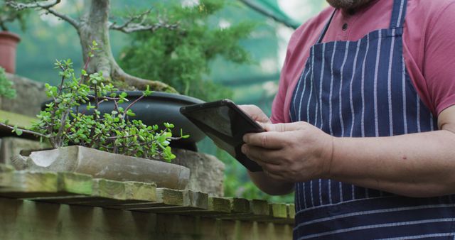 Midsection of caucasian male gardener using tablet at garden center. working at bonsai nursery, small specialist business.