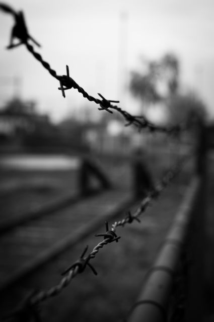 Barbed wire barb wire black and white  - Download Free Stock Photos Pikwizard.com