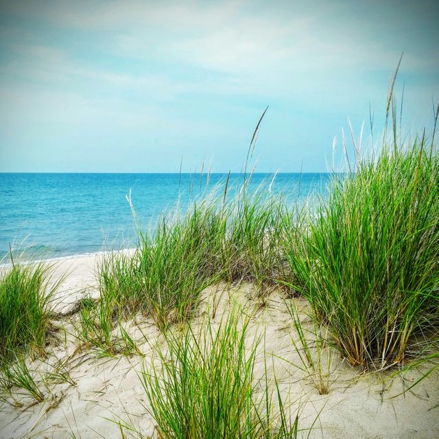 a beach with grass and water - Download Free Stock Photos Pikwizard.com