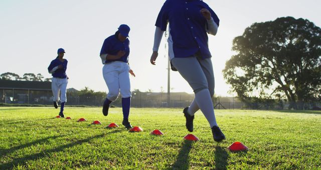 Diverse group of female baseball players exercising on sunny pitch, high stepping over cones - Download Free Stock Photos Pikwizard.com