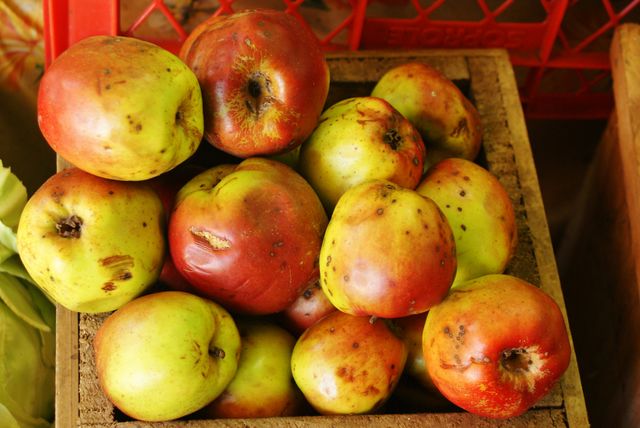 Apples fruits food- Download Free Stock Photos Pikwizard.com