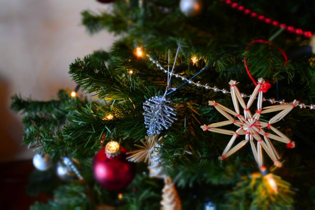 Close-up of Christmas Tree - Download Free Stock Photos Pikwizard.com