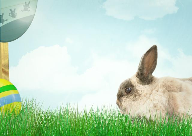 Digital composite of Brown rabbit with color egg and  signal. Happy Easter.