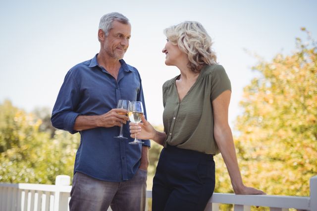 Mature couple toasting glasses of wine in balcony - Download Free Stock Photos Pikwizard.com