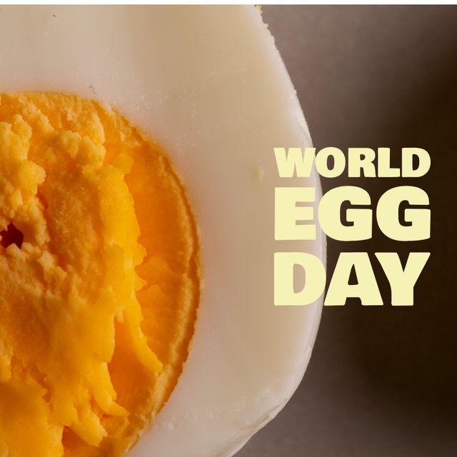 Digital composite image of fried egg with sunny side up in cooking pan and world egg day text. Copy space, fresh, egg, food, nutrition, healthy, awareness and celebration concept.