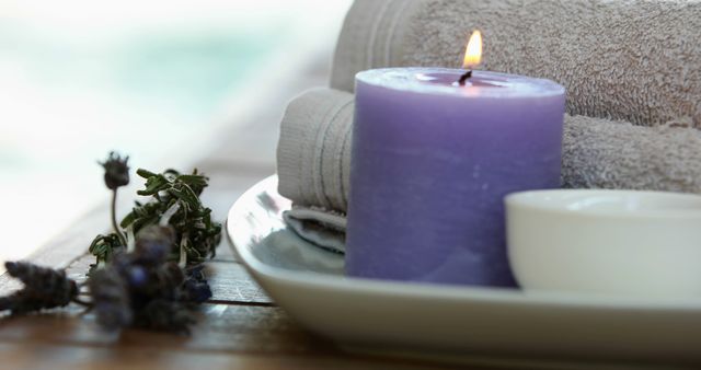 Beauty treatment in bowl presented on plate with dried lavender at the spa
