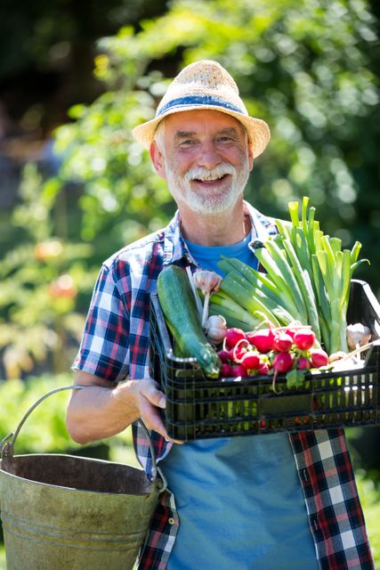 Senior man holding crate of fresh vegetables in garden - Download Free Stock Photos Pikwizard.com