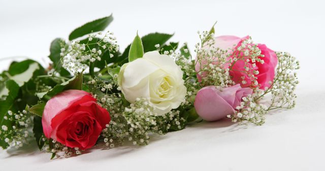 Bouquet of red, white and pink roses on white background - Download Free Stock Photos Pikwizard.com