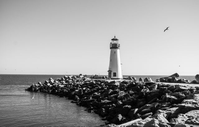 Lighthouse santa cruz black and white sea - Download Free Stock Photos Pikwizard.com